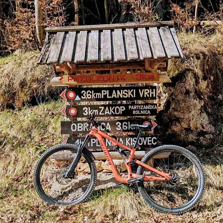 Magnolia * Blejska Dobrava