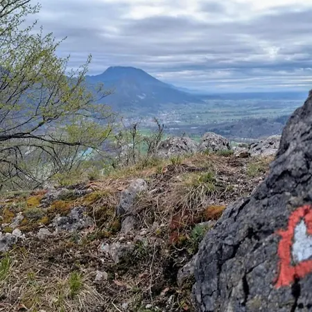 Magnolia * Blejska Dobrava