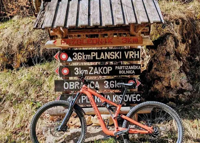 Magnolia * Blejska Dobrava