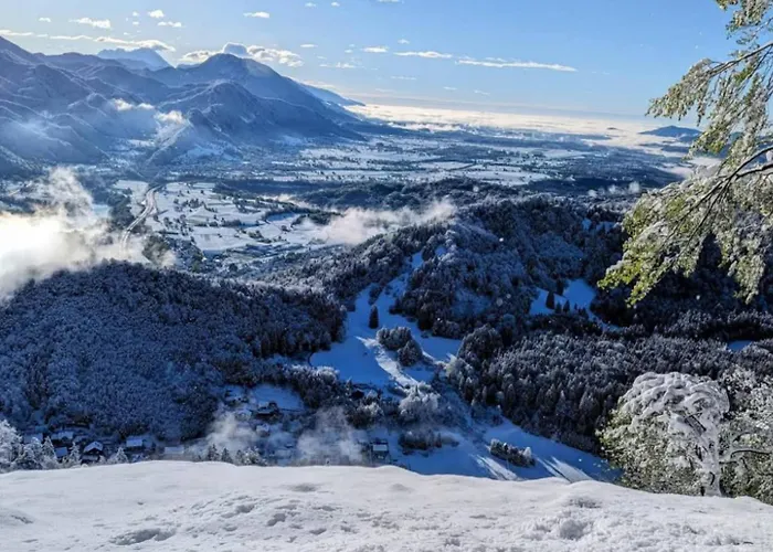 Magnolia Apartment *