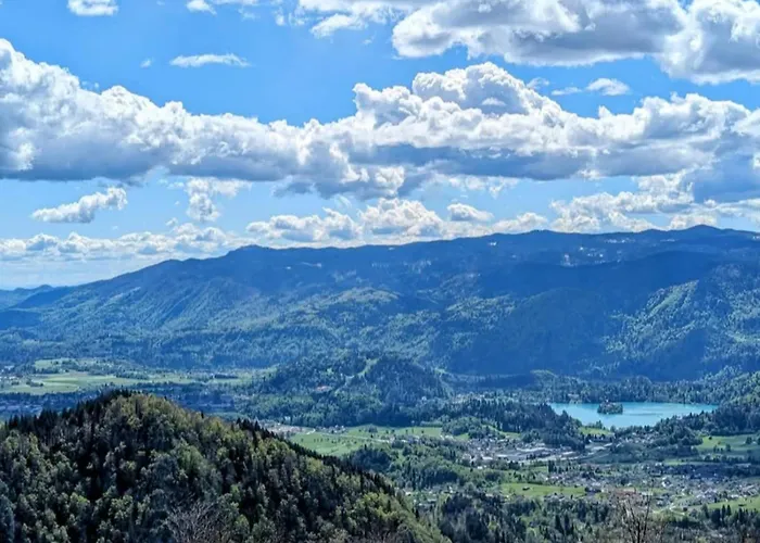 Apartment Magnolia *