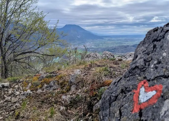 Magnolia * Blejska Dobrava